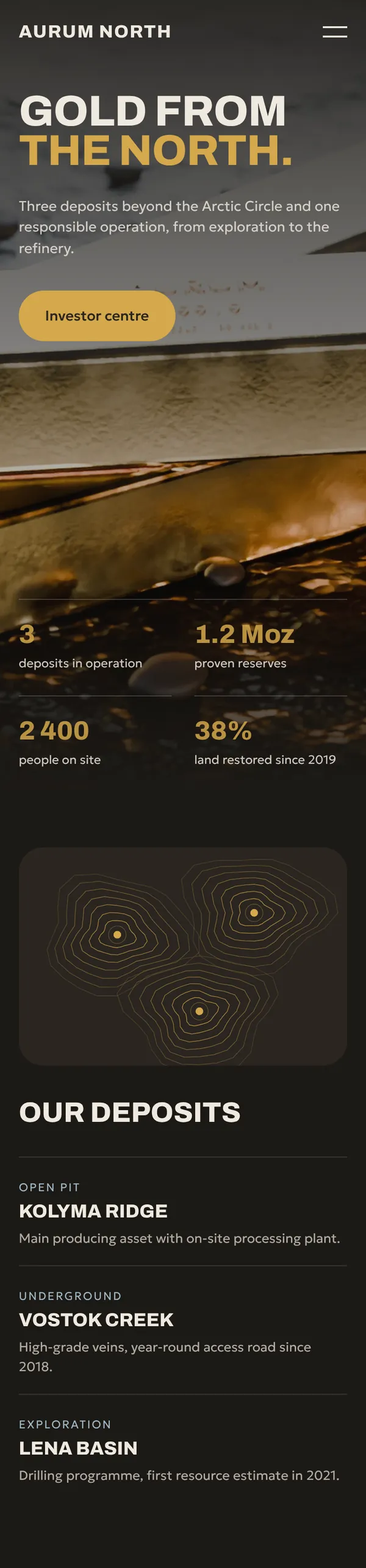 Aurum North: главная страница сайта целиком
